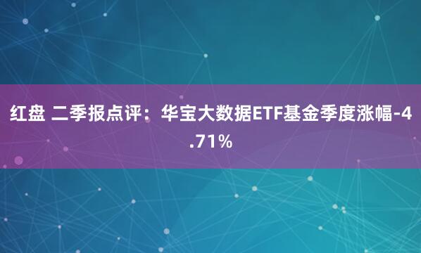 红盘 二季报点评：华宝大数据ETF基金季度涨幅-4.71%