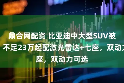 鼎合网配资 比亚迪中大型SUV被忽视！不足23万起配激光雷达+七座，双动力可选