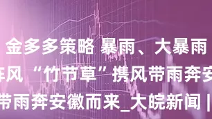 金多多策略 暴雨、大暴雨+8级左右阵风 “竹节草”携风带雨奔安徽而来_大皖新闻 | 安徽网